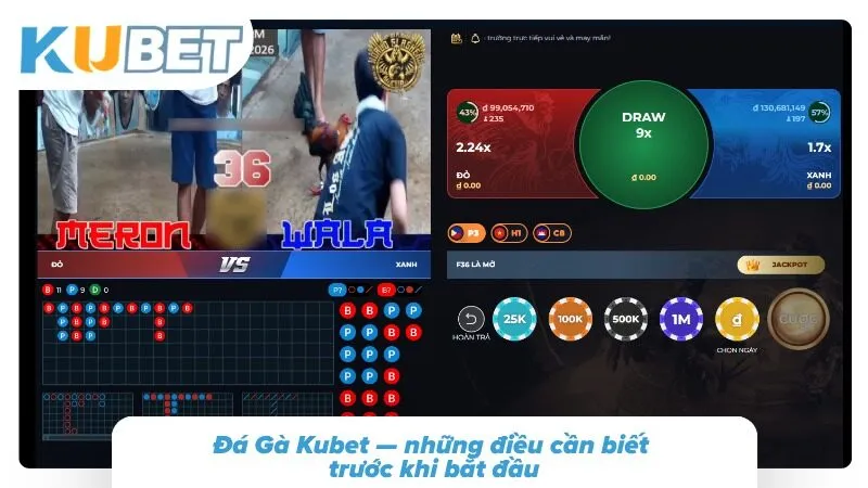 Bật mí những điều quan trọng về thi đấu chiến kê