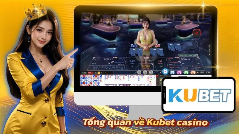 Nhiều khu vực trò chơi được sắp xếp theo từng phong cách trải nghiệm