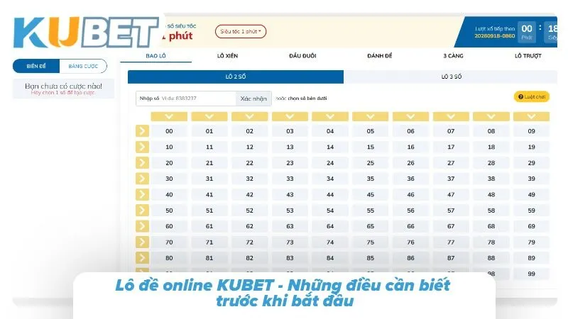 Khám phá những điều cơ bản cần biết khi tham gia